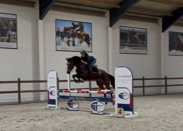 paard te koop merrie jaar 2021, Dieren en Toebehoren, Merrie, Springpaard, Met stamboom, Niet van toepassing