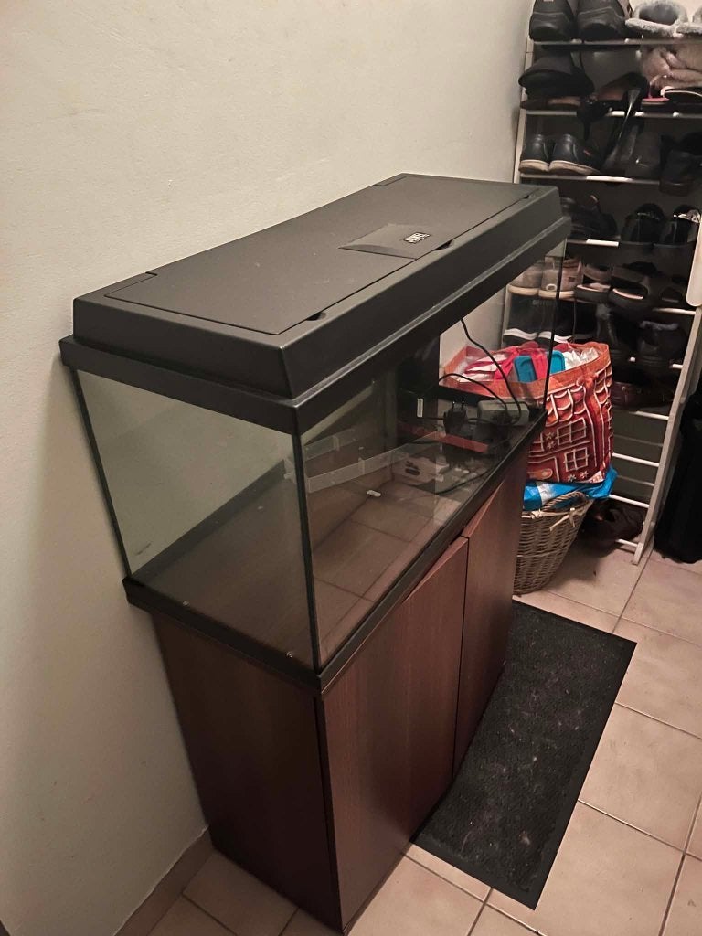 AQUARIUM KAST, Dieren en Toebehoren, Vissen | Aquariumvissen, Overige typen, Zoetwatervis