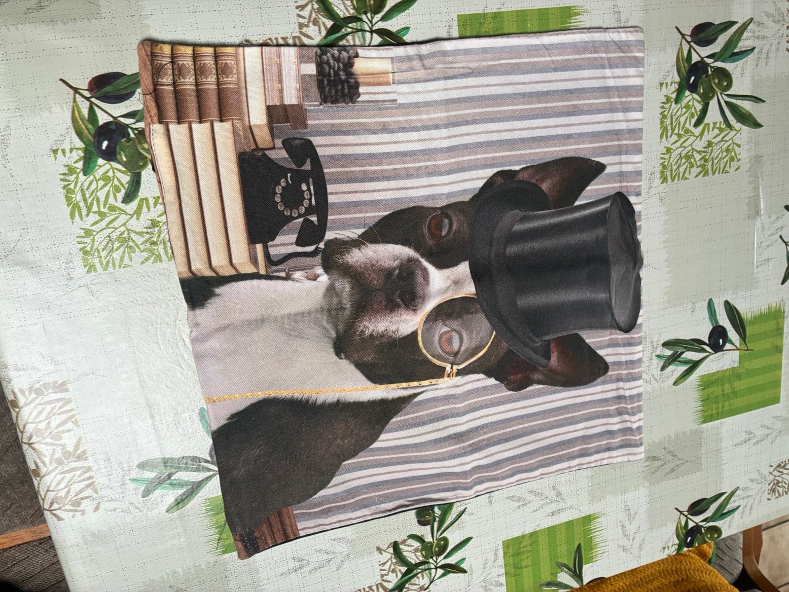 Kussenhoes Franse Bulldog, Huis en Inrichting, Ophalen, Zo goed als nieuw, Kussenhoes