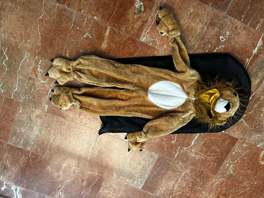 Carnaval leeuw verkleed costume, Enlèvement, Utilisé, 104 ou plus petit, Garçon ou Fille