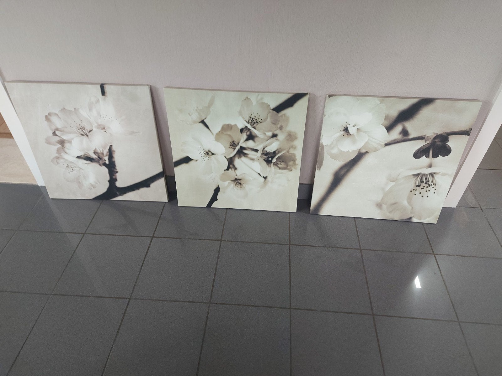 pjatteryd canvas ikea flora maia - 3 delen, Ophalen