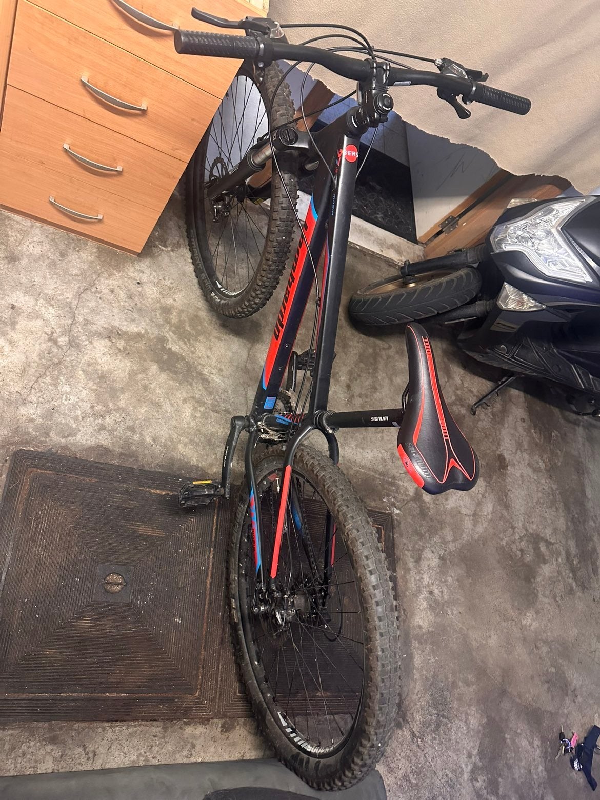 mtb lombardo., Ophalen