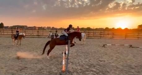 sport pony te koop, Dieren en Toebehoren, Paarden, Merrie, Springpaard, Minder dan 160 cm, M