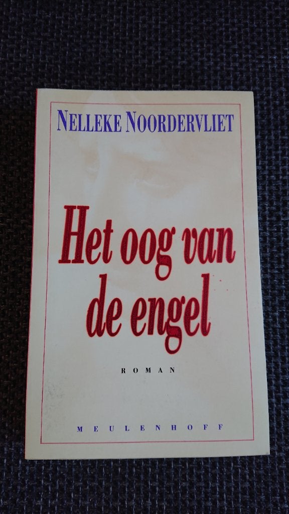 Het oog van de Engel, Boeken, Ophalen of Verzenden, Zo goed als nieuw, Nelleke Noordervliet