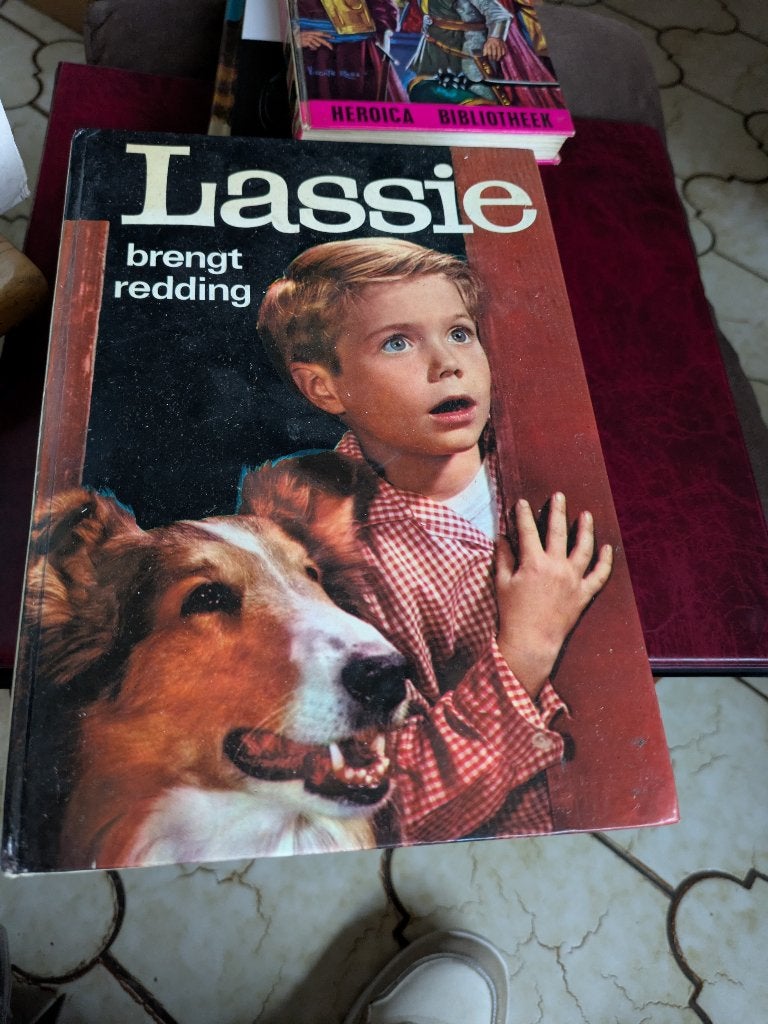 Lassie, Ophalen of Verzenden, Gelezen, Fictie