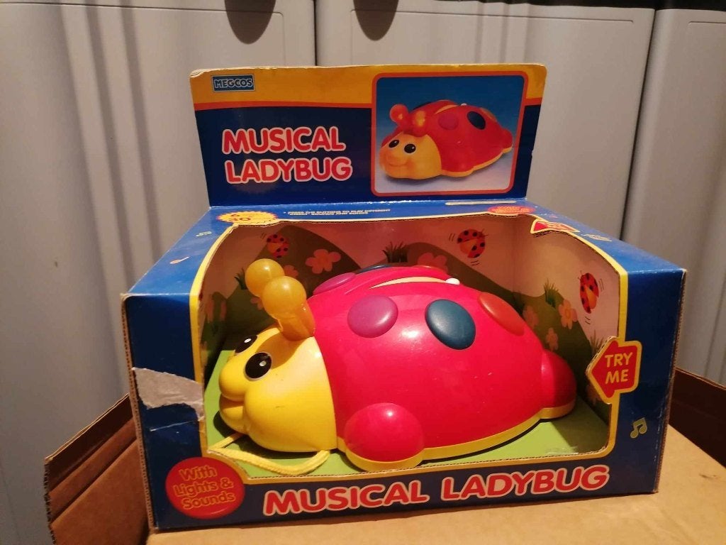 Musical Ladybug: muzikale lieveheersbeestje speelgoed, Enlèvement