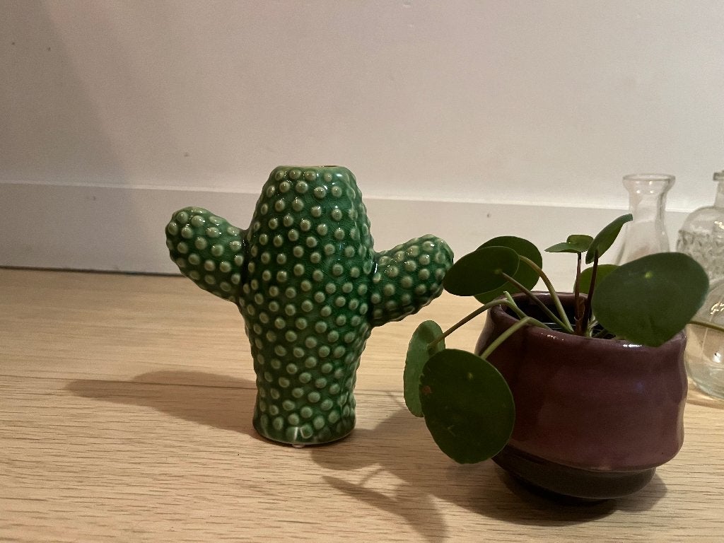 Serax cactus vaas, Verzenden, Nieuw, Geschikt voor droogbloemen, Groen