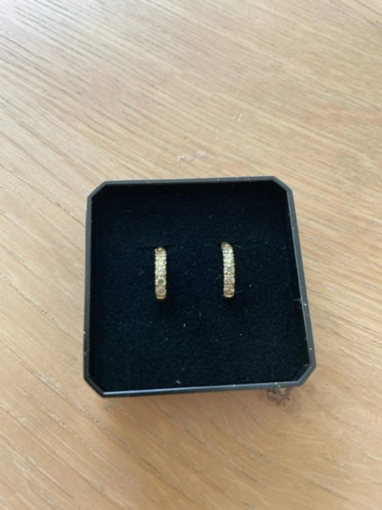 NIEUW Oorringen goud met diamantjes kleur mint, Ophalen, Nieuw, Goud, Goud