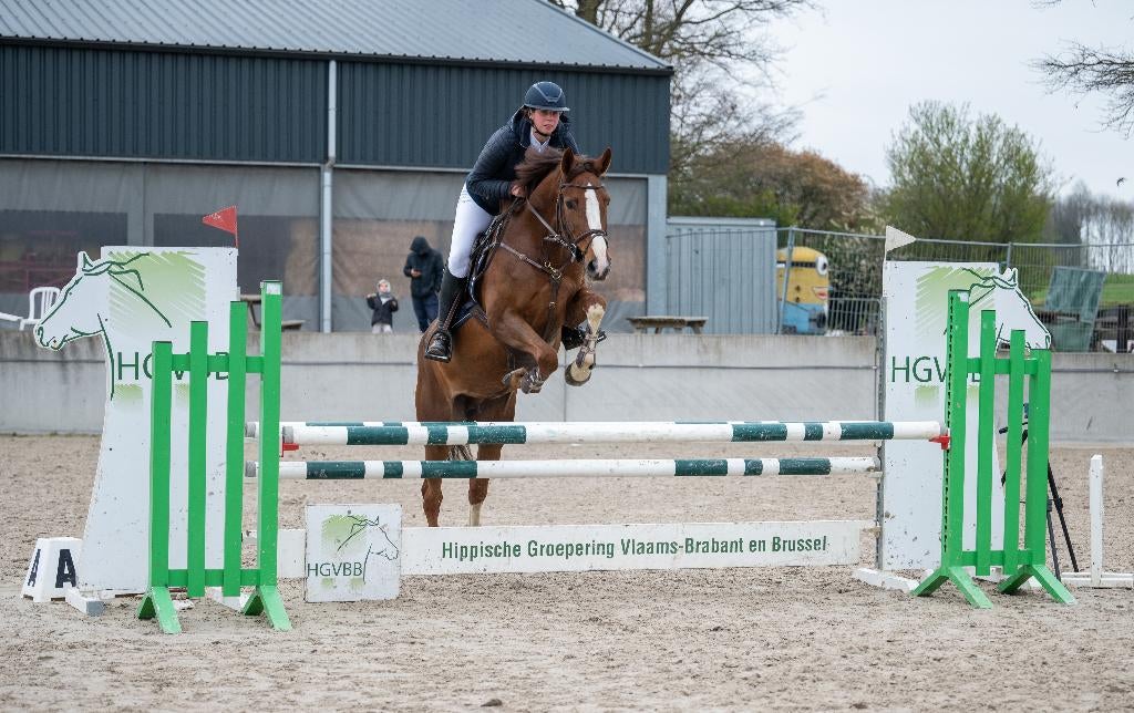 Zadelmak maken/Trainen/doorrijden van (jonge) paarden, Niet van toepassing