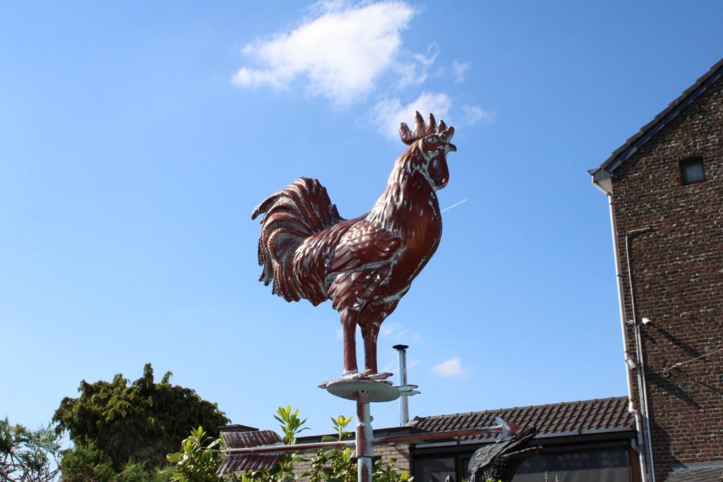 girouette en fer forgé couleurs un coq ., Enlèvement, Neuf