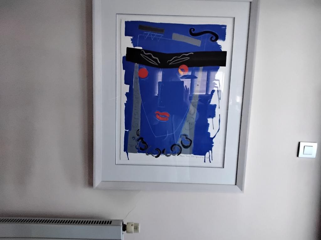 Van Schuylenberg, peinture, Enlèvement