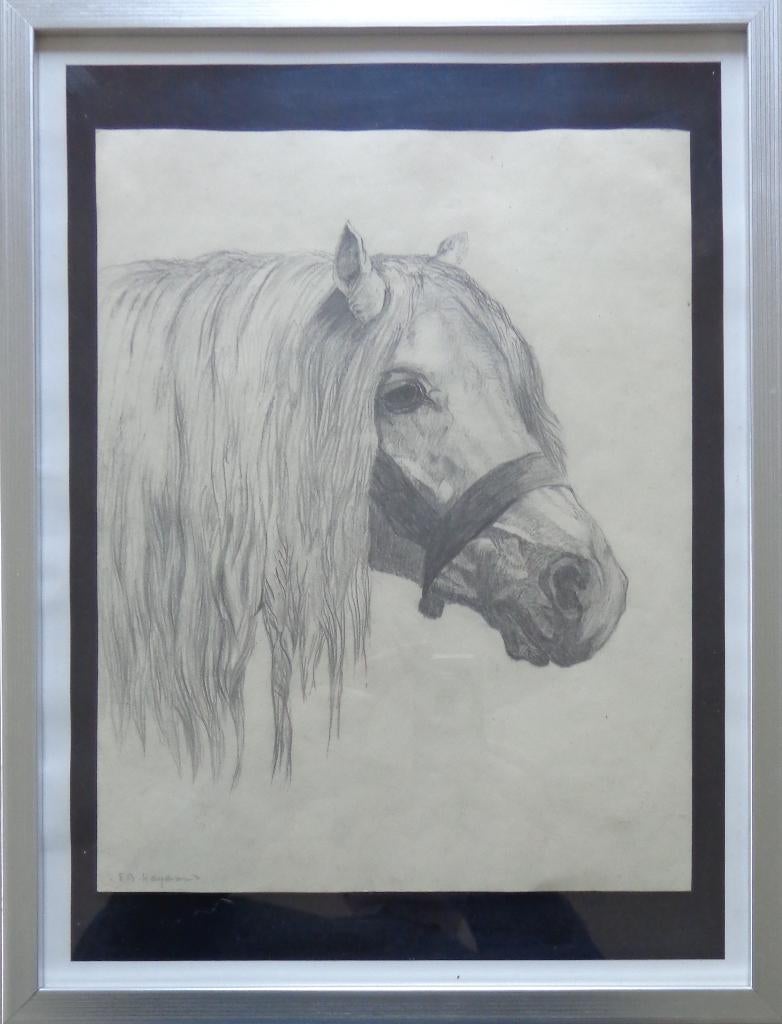 S.B. HAYWARD / WEARY PONY / ORIGINEEL WERK / 42x32cm KADER, Ophalen of Verzenden
