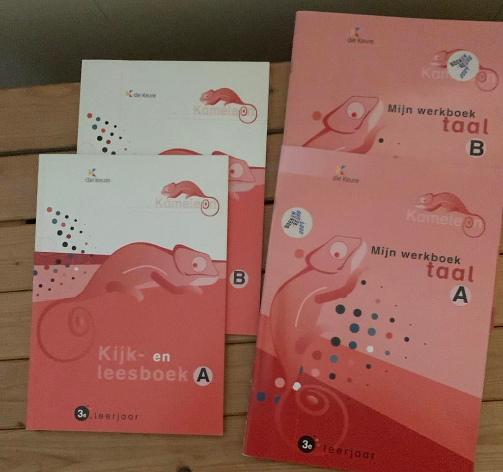 Kameleon kijk en leesboek 3a/b + mijn wb 3a/b, Boeken, Ophalen, Zo goed als nieuw, Nederlands