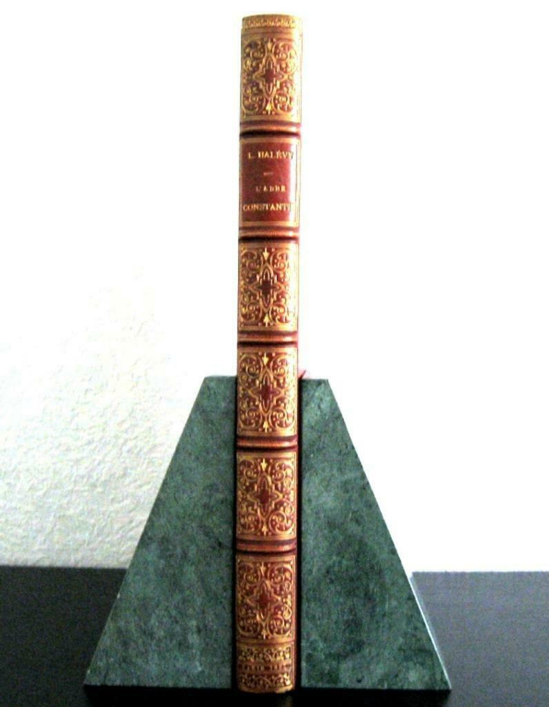 L'Abbé Constantin 1887 Lemaire-Halevy Fraaie Marokijn band, Antiquités & Art, Enlèvement ou Envoi