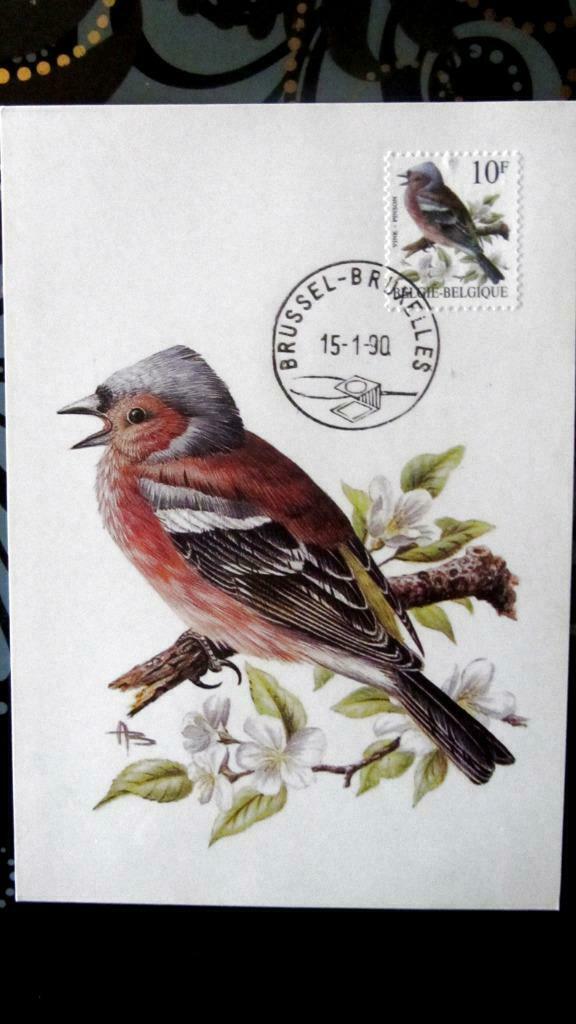 FIRST DAY OP KAART- VOGELS VAN BUZIN- DE VINK, Enlèvement ou Envoi, Affranchi, Animal et Nature