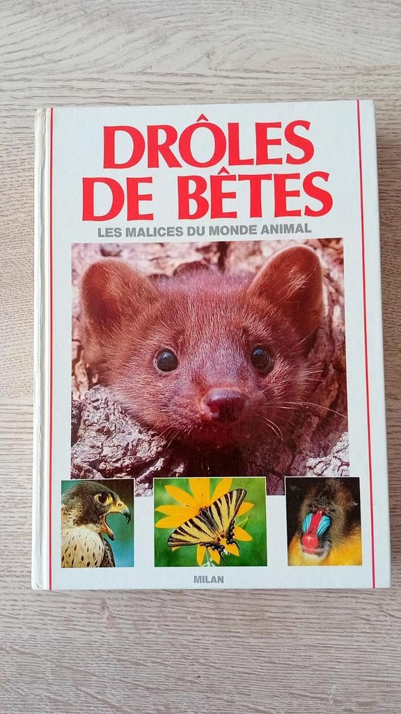 Livre encyclopédie "Drôles de bêtes ", Enlèvement ou Envoi, Comme neuf
