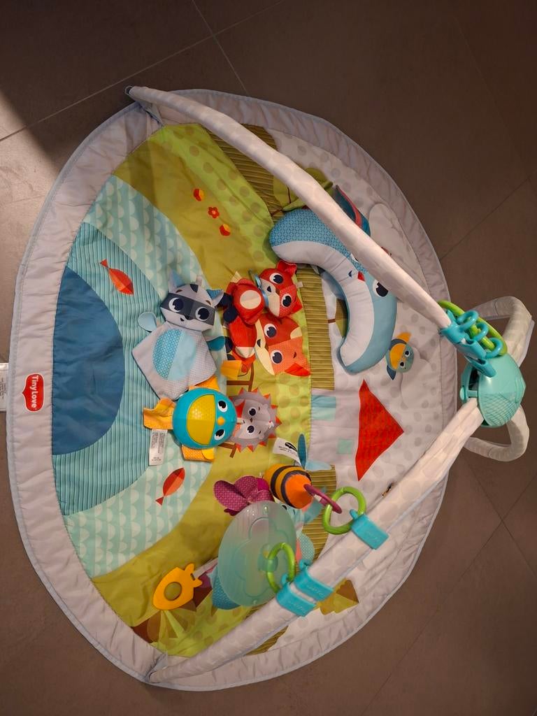 Speelmat Tiny love dynamic gym, Kinderen en Baby's, Ophalen of Verzenden, Zo goed als nieuw