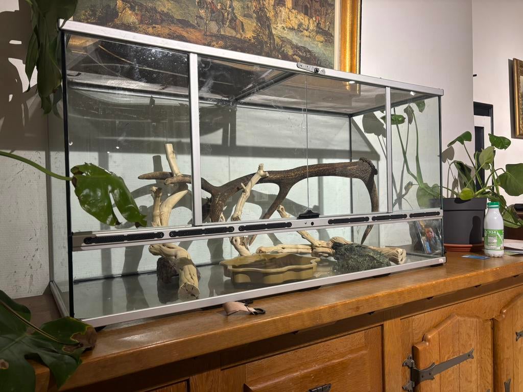 Terrarium en verre, Enlèvement, Comme neuf