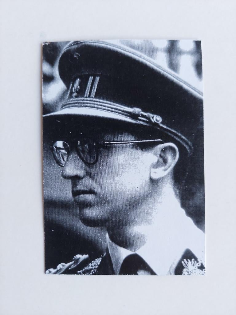 Bidprentje koning Boudewijn 1993, Ophalen, Bidprentje