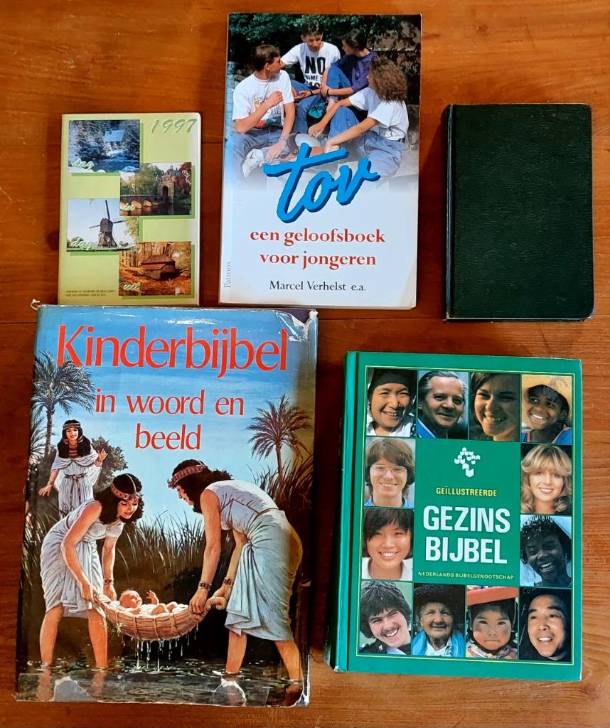 Boek - Religie, Boeken, Ophalen of Verzenden, Gelezen, Christendom | Katholiek