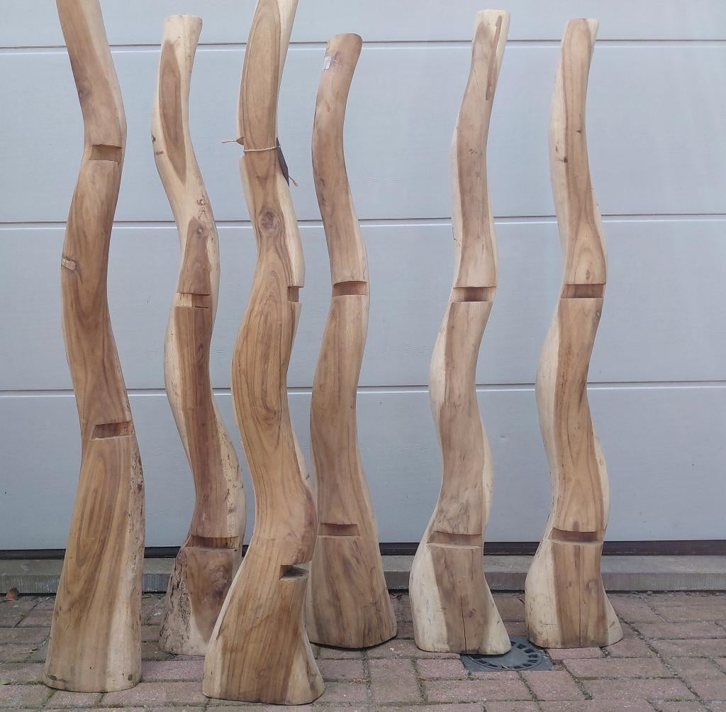 Stammen in Suar hout., Ophalen of Verzenden, Nieuw