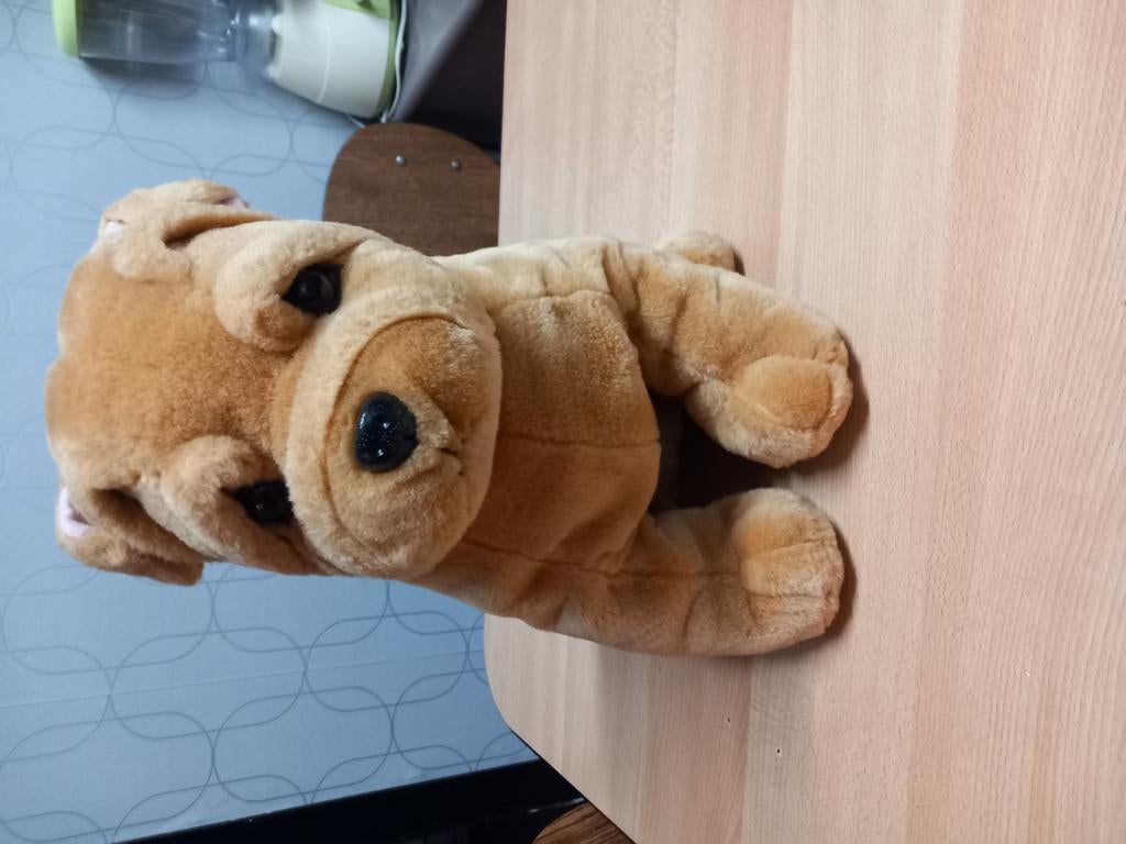 Nounours sharpei, Enlèvement ou Envoi, Chien