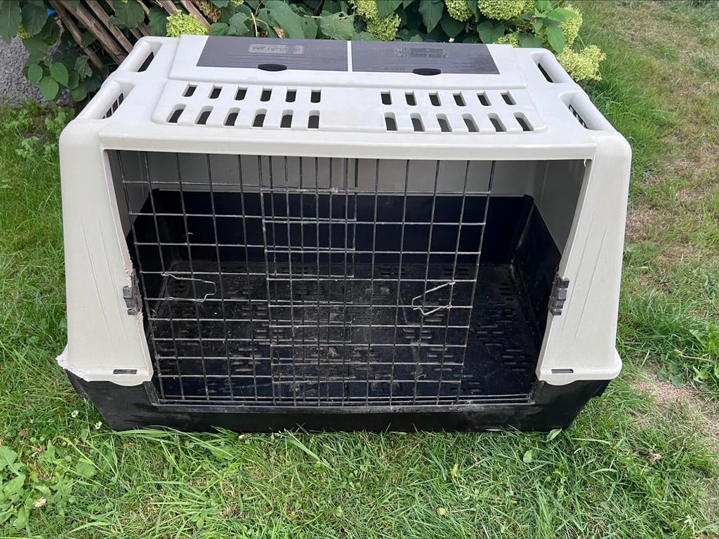 Honden transportbox Ferplast (100x60x65), Dieren en Toebehoren, Ophalen, Gebruikt