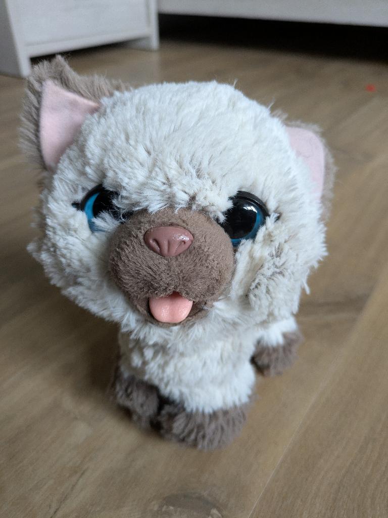Fur Real Kami Kat, Enfants & Bébés, Jouets | Peluches, Enlèvement, Chat