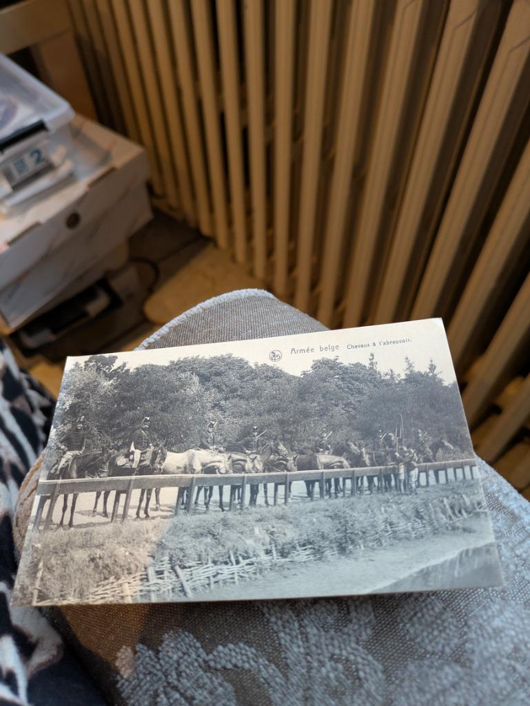 Armée belge - chevaux a l'abreuvoir, Enlèvement ou Envoi, Armée de terre, Photo ou Poster