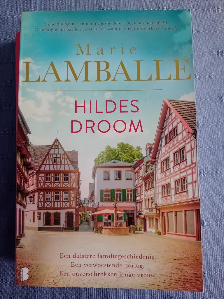 Marie Lamballe - Hildes droom, Ophalen of Verzenden, Gelezen, Marie Lamballe