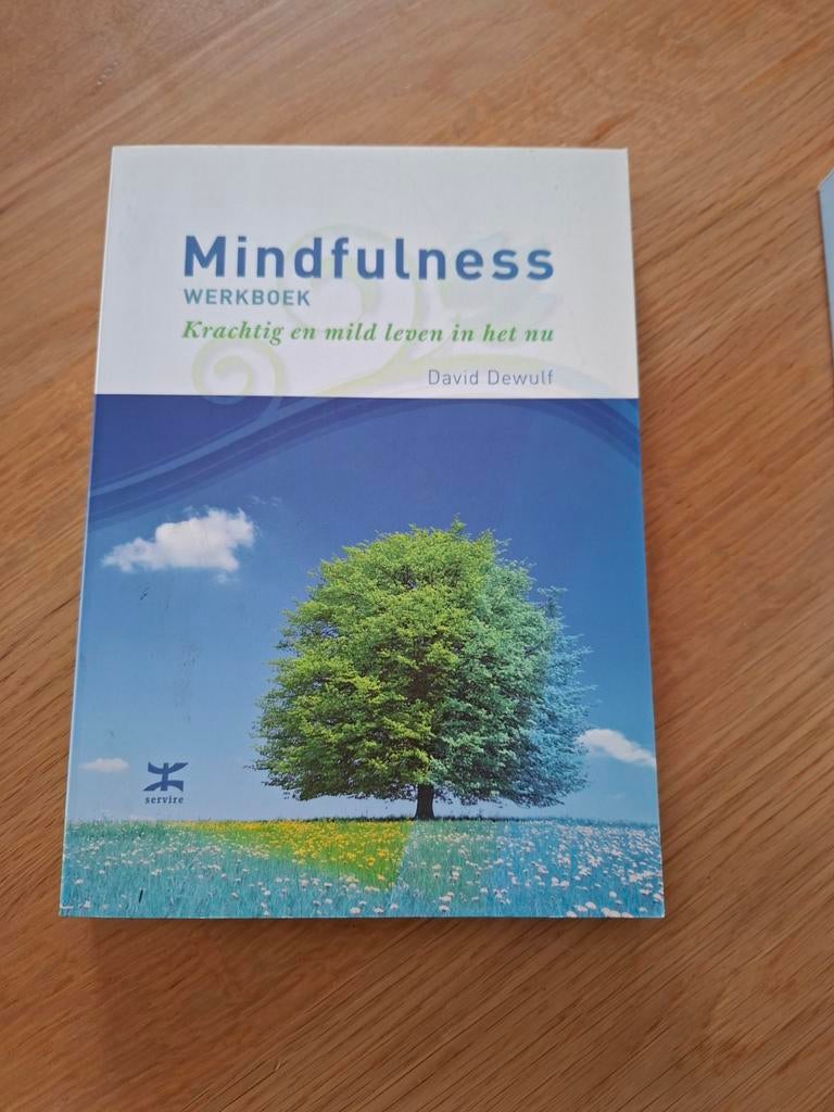 David Dewulf - Mindfulness werkboek, Boeken, Ophalen of Verzenden, Cognitieve psychologie, David Dewulf