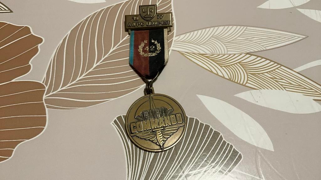 Médaille du para ANPC LIÈGE - Est de 1977, Envoi