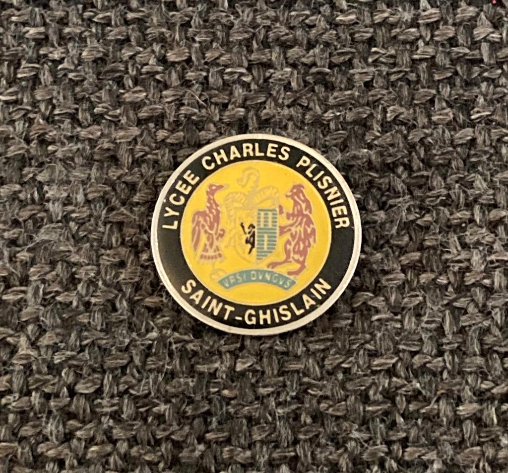 PIN - LYCEE CHARLES PLISNIER - SAINT-GHISLAIN, Collections, Envoi, Utilisé, Autres sujets/thèmes, Insigne ou Pin's