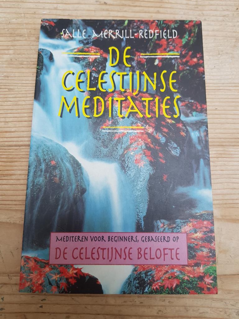 Salle Merrill-Redfield - De Celestijnse meditaties, Boeken, Ophalen of Verzenden, Zo goed als nieuw, Salle Merrill-Redfield