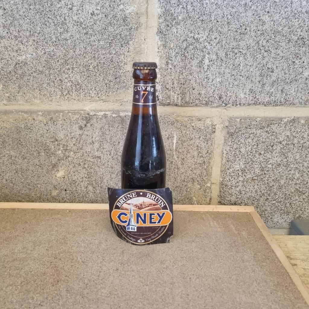 Bouteille de bière Ciney (modèle 5), Enlèvement ou Envoi, Utilisé, Bouteille(s), Autres marques