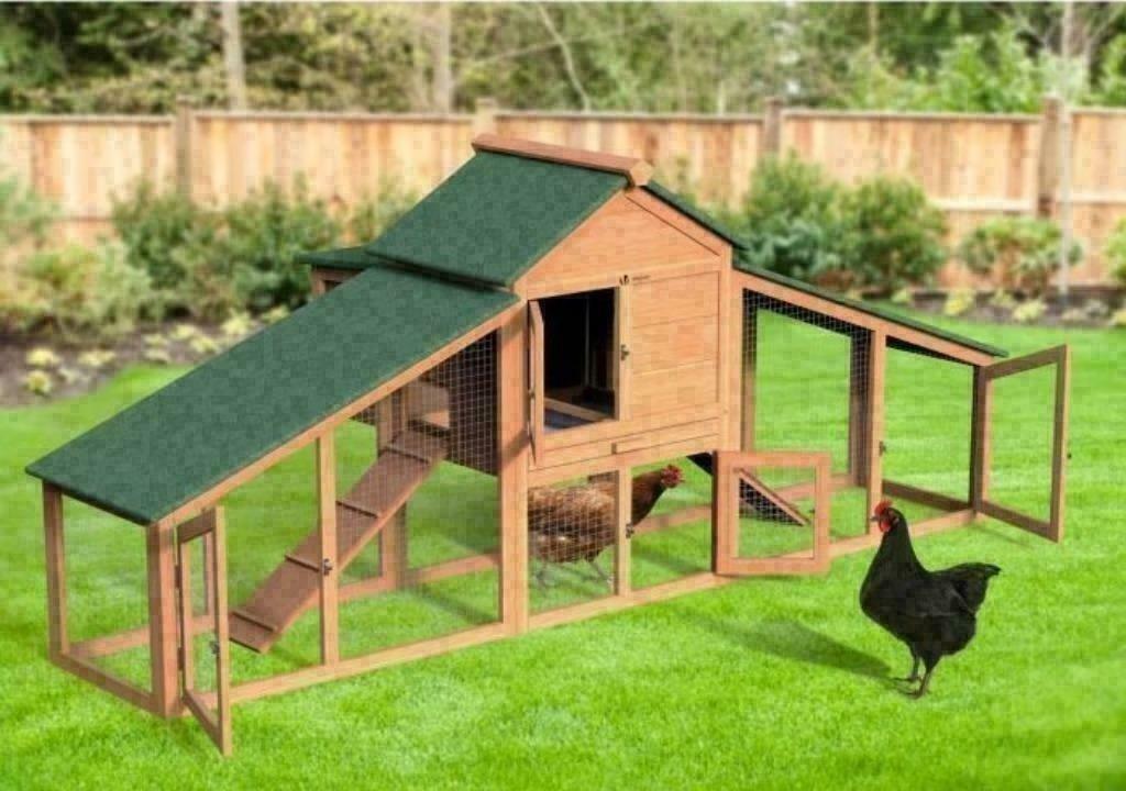 Poulailler XXXL abri poule pondoir poule enclos poule parc, Dieren en Toebehoren, Pluimvee | Toebehoren, Nieuw, Kippenhok of Kippenren