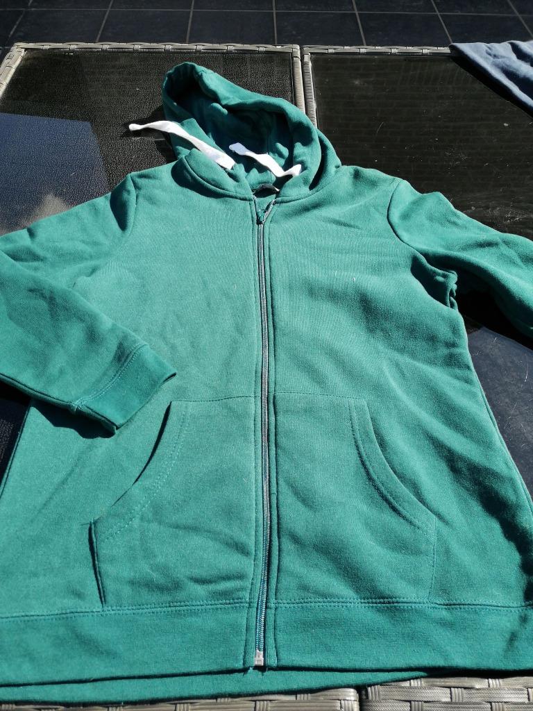 Trui groen merk zeeman – maat 40 - nieuw, Kleding | Dames, Maat 38/40 (M), Zeeman, Nieuw, Ophalen of Verzenden