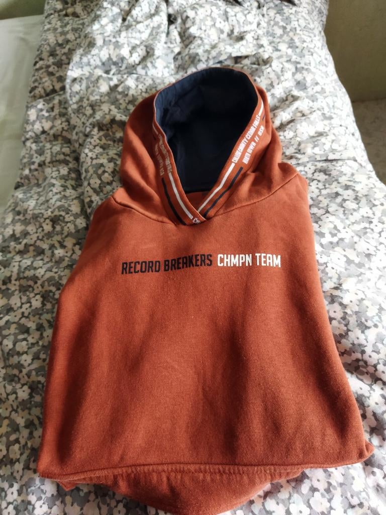 Sweat à capuche rouille 170/176, Vêtements | Femmes, Awesome, Enlèvement ou Envoi, Comme neuf, Taille 36 (S)