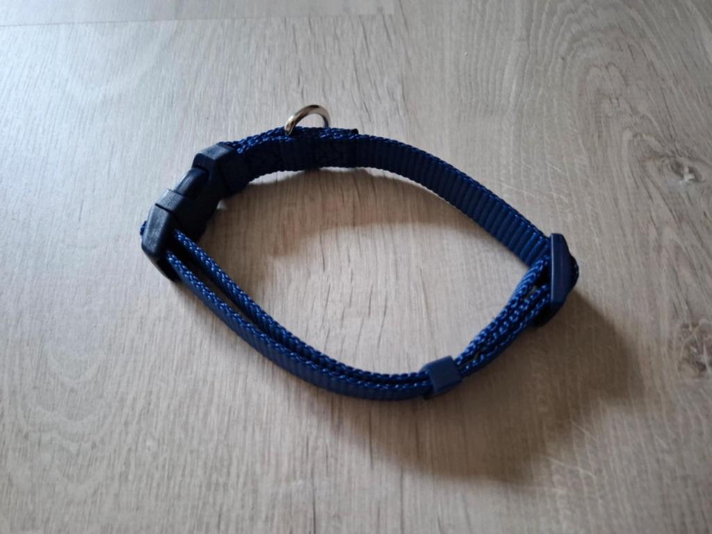 Collier pour chien, Enlèvement, Comme neuf