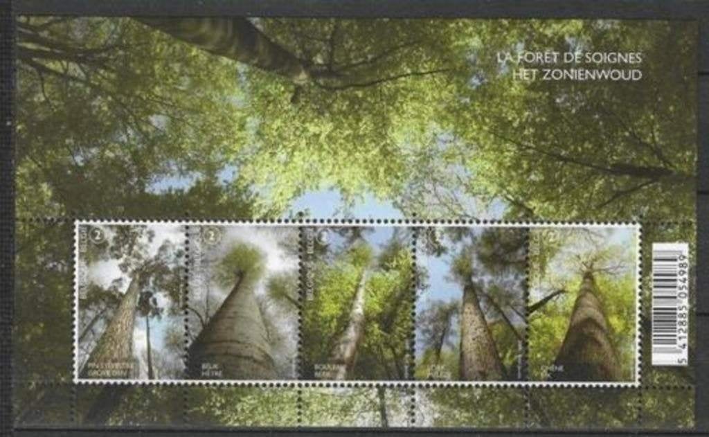Belgique 2009 - Yvert 3932-36 /OBP 3951-55 - Forêt de S (PF), Envoi, Non oblitéré, Neuf