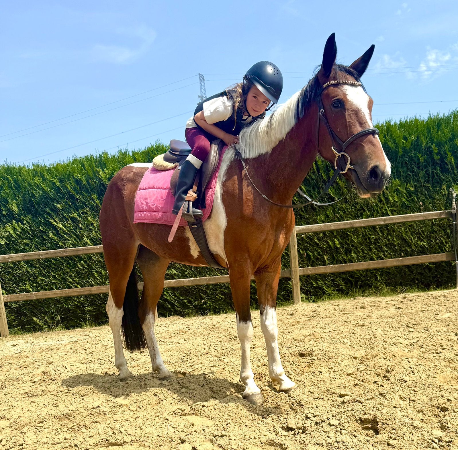 Une jument courageuse et cool, Jument