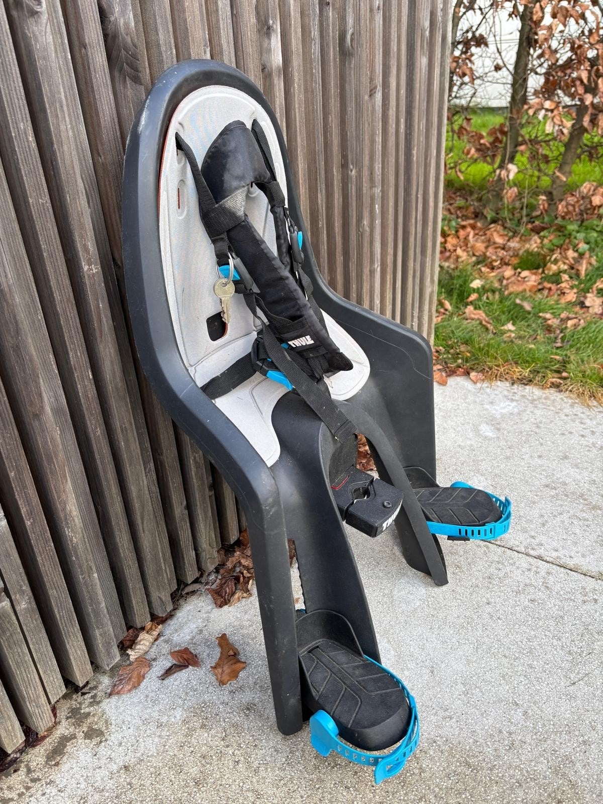 Fietsstoeltje Thule, Fietsen en Brommers, Fietsaccessoires | Fietsstoeltjes, Ophalen