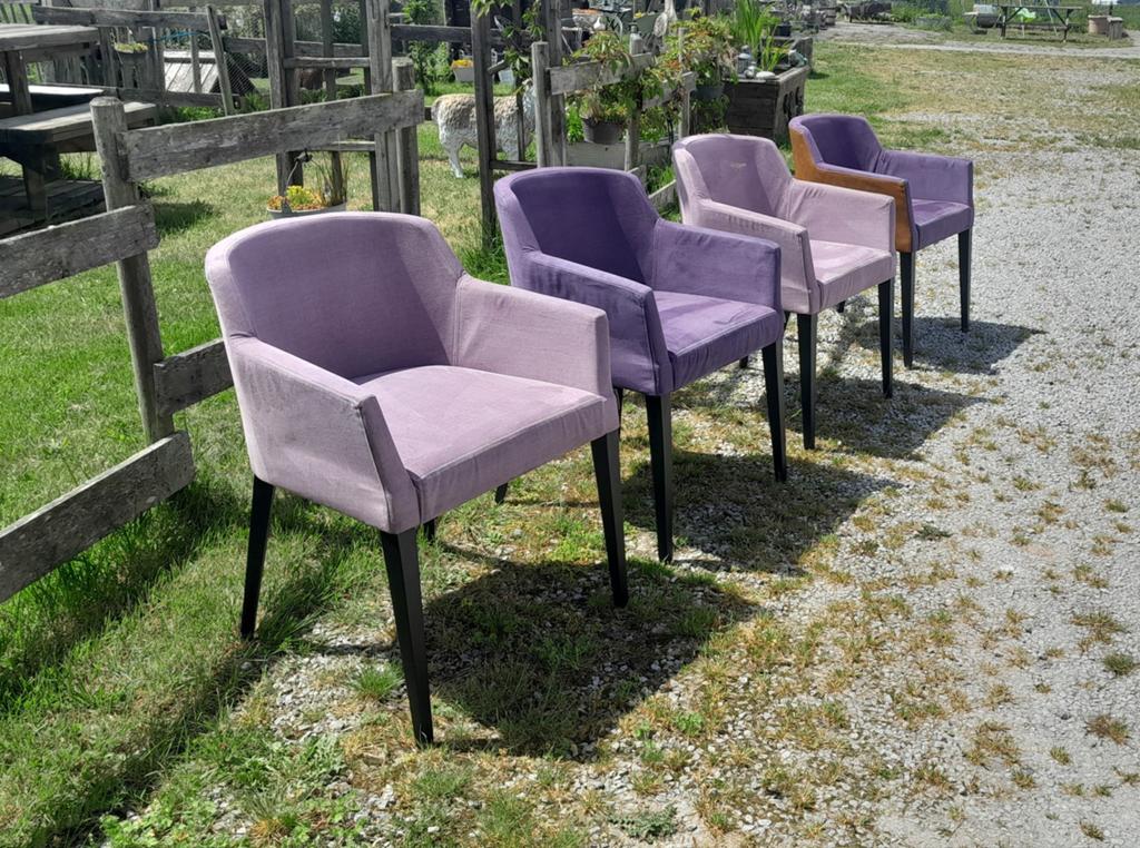 Fauteuils en velours