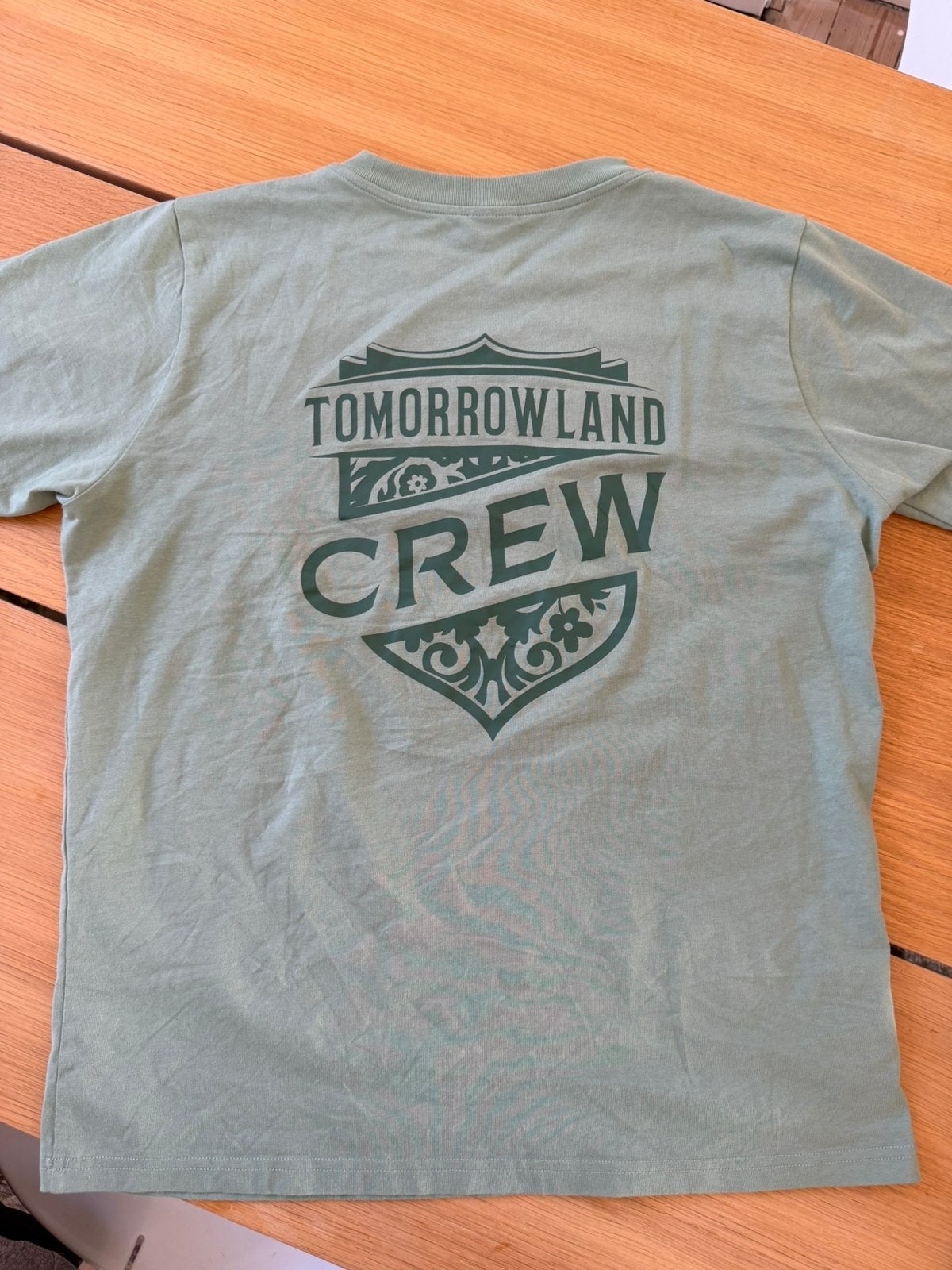 Tomorrowland 2026 Crew T-shirt size M, Enlèvement, Neuf, Taille 48/50 (M), Vert
