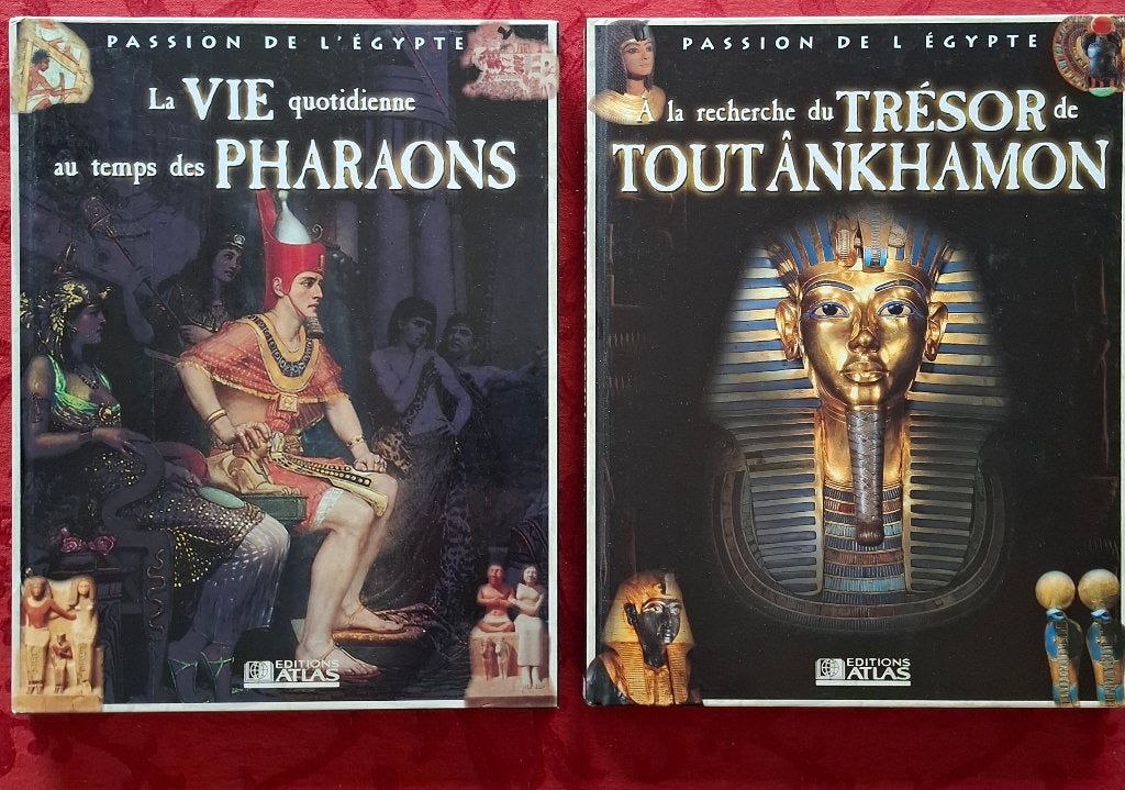 Livres divers Histoire & civilisation, Enlèvement, Neuf