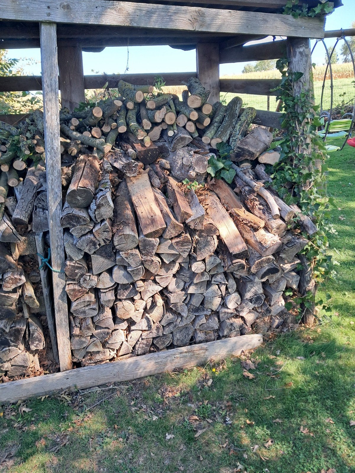 Bois de chauffage sec, Enlèvement, Hêtre
