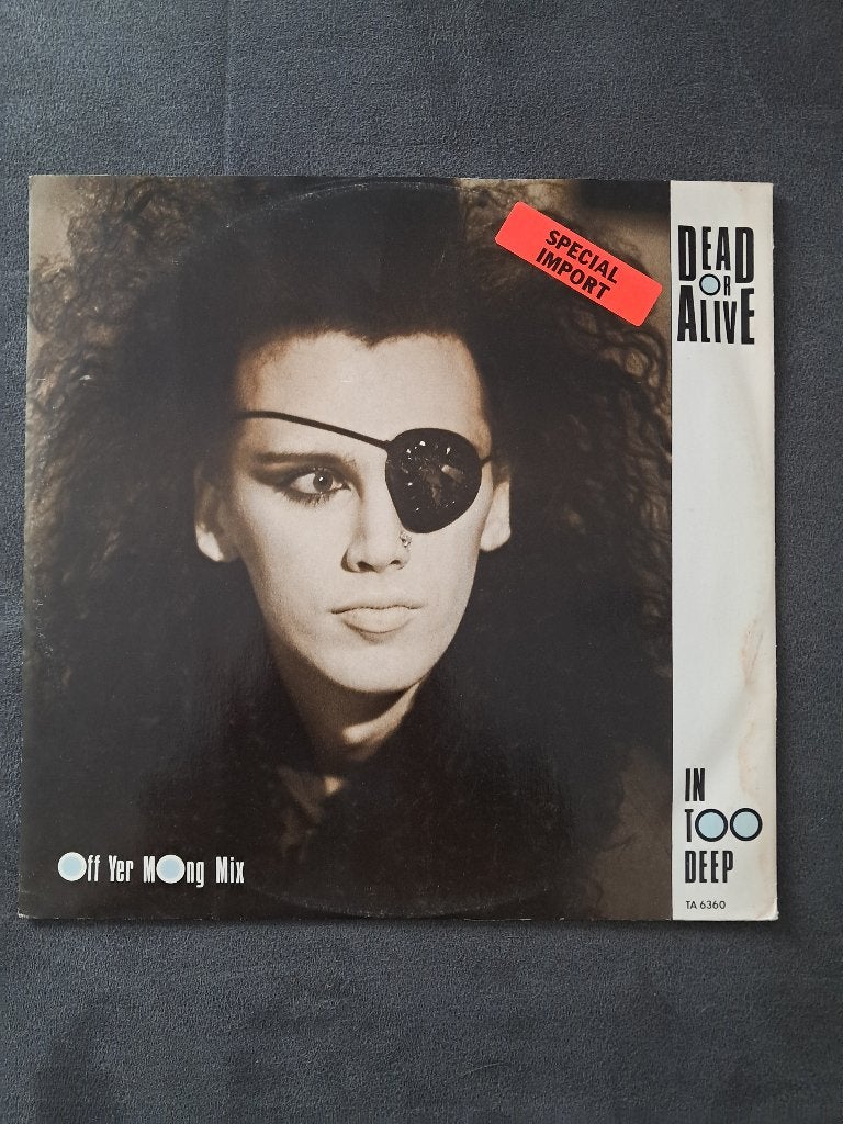 Dead Or Alive : In Too Deep (12") synthpop, Import, Enlèvement ou Envoi