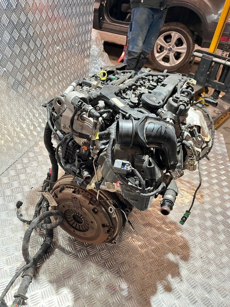 Moteur T8MA Complet KUGA FORD, Envoi, Utilisé, Daihatsu