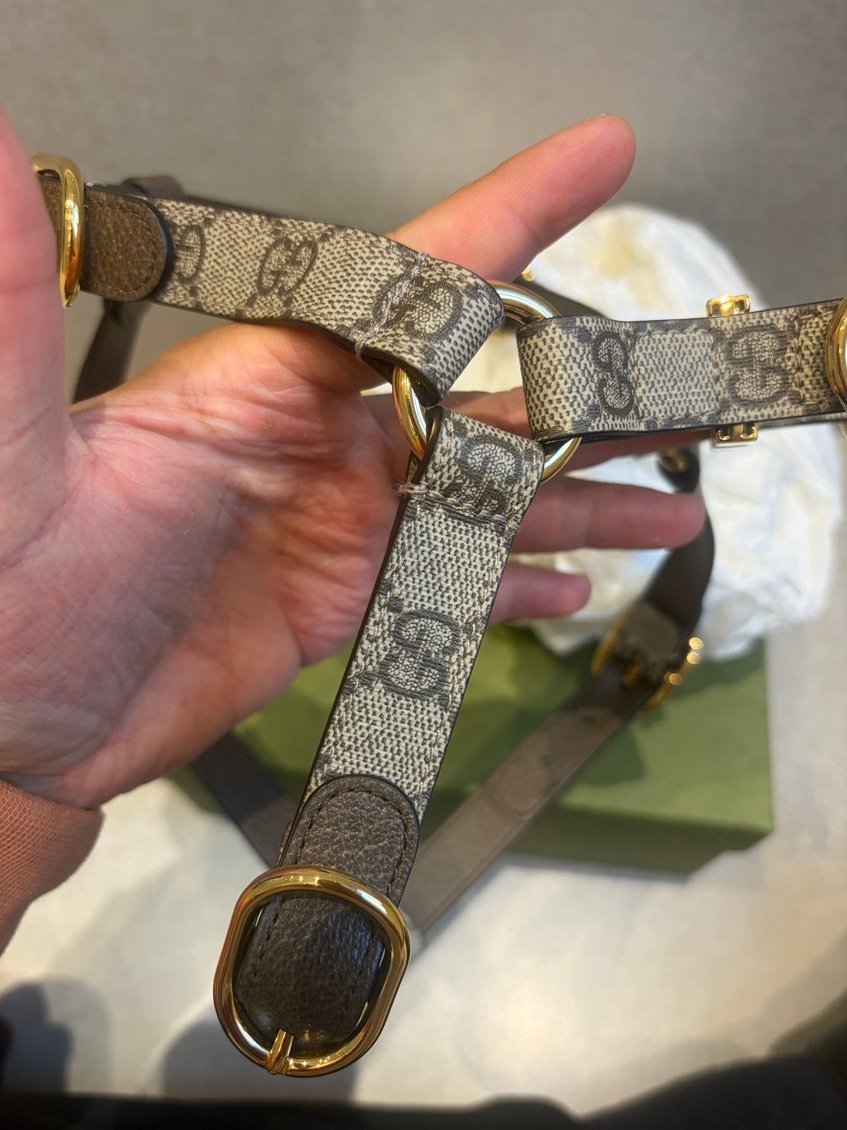 Harnais pour chien Gucci neuf taille M, Dieren en Toebehoren, Ophalen of Verzenden, Nieuw