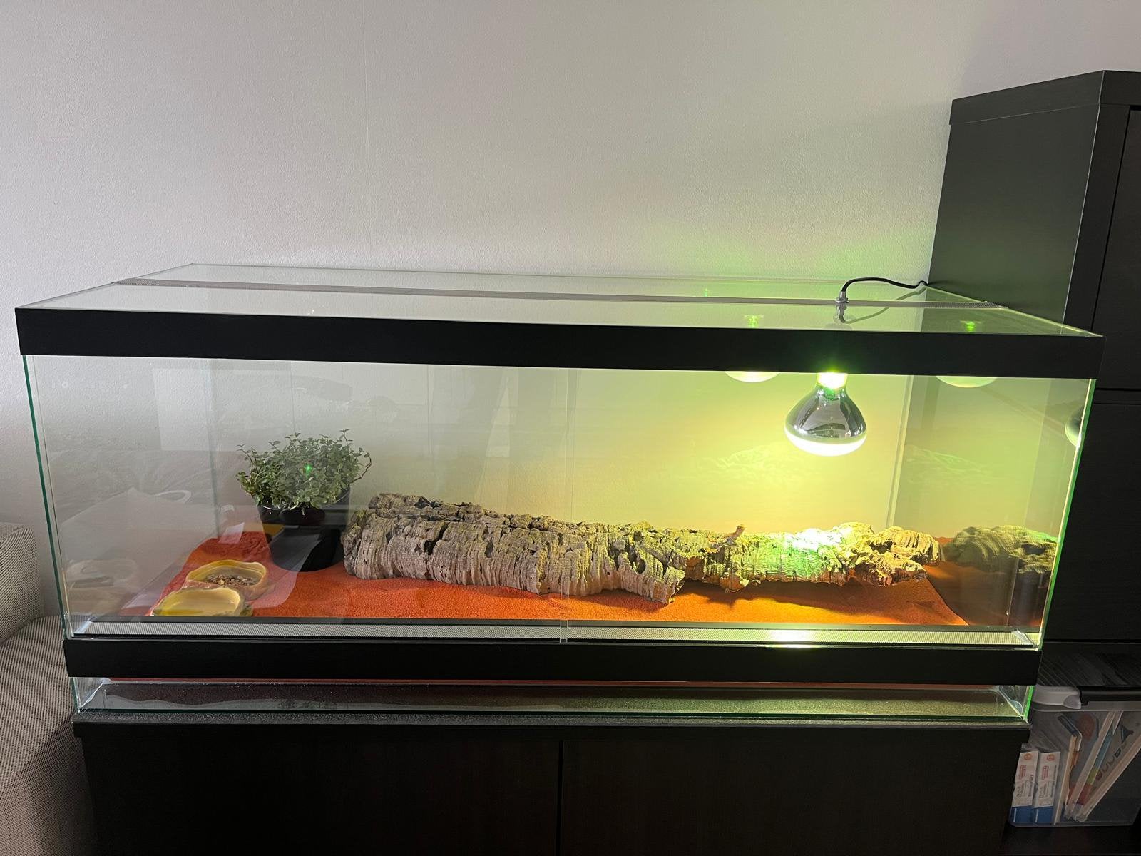 Terrarium 120 x 50 x 50 cm, Animaux & Accessoires, Reptiles & Amphibiens | Accessoires, Enlèvement, Utilisé